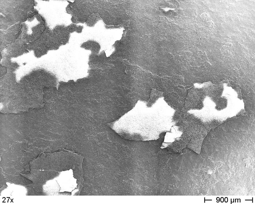 a) izotermická oxidace b) dlouhodobá oxidace Obr.4.