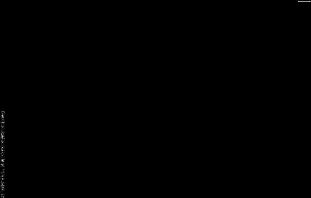 Příloha č.