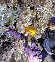Poznejte bohatou historii hornictví v Kletnu! Díky speciální geologické výstavě se přenesete v čase, do doby před 600 lety.