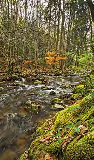 PŘÍRODA NATURA AKTIVNÍ TURISTIKA AKTYWNA TURYSTYKA 28 www.geoparkzh.cz 29 www.kralickysneznik.net 30 www.pngs.com.