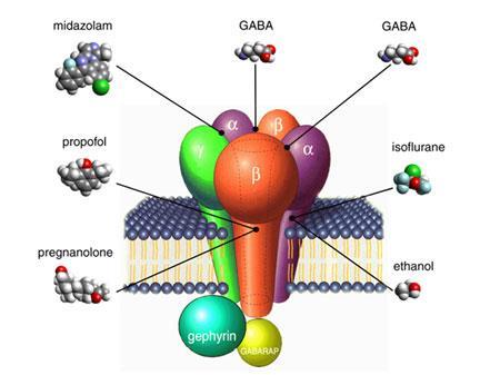 Mechanismus účinku GABA A mimetikum pozitivní allosterický modulátor GABA slabá inhibice NMDA r.