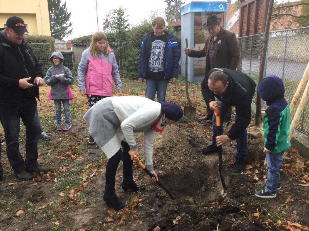 Lípu nám zakoupila obec Uhersko, která s námi také lípu zasadila.