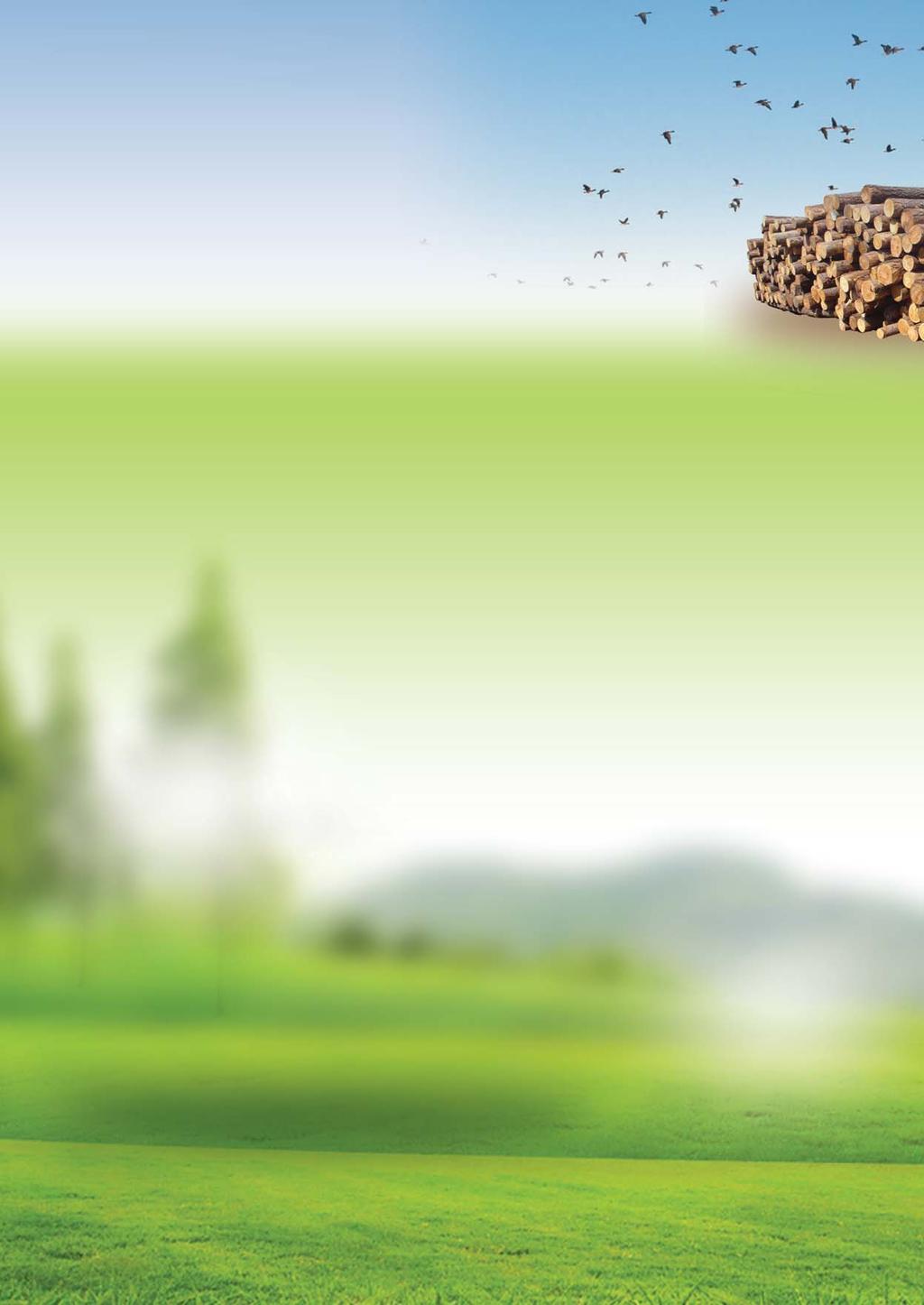 domek zahradní na nářadí 239x193x202