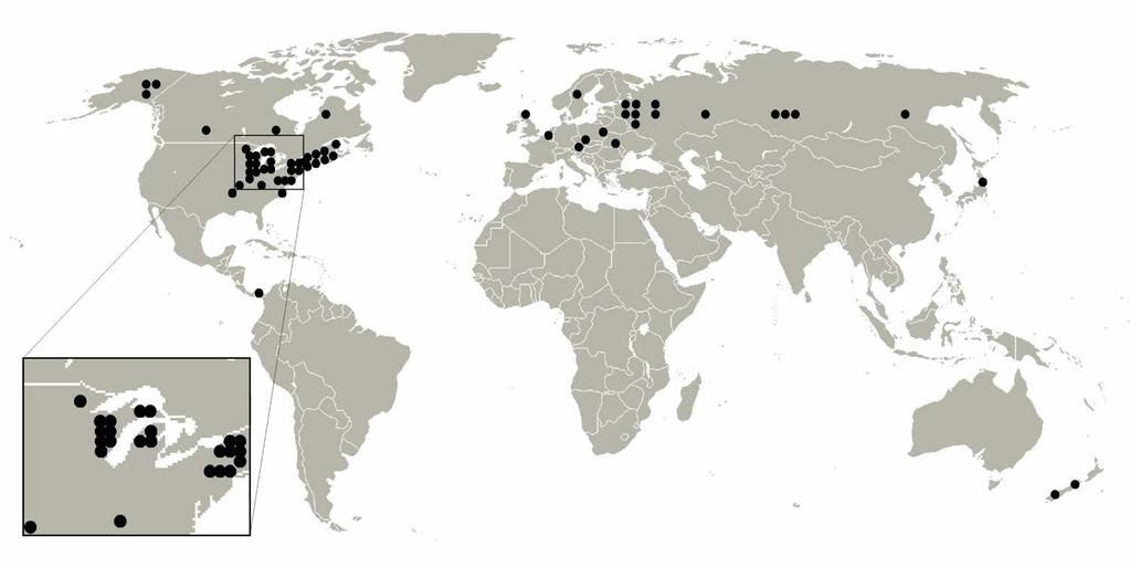 Disturbanční ekologie Lokalizace studií o vlivu vývratové dynamiky na pedogenezi (období 1940-2009) -Odlišné zaměření výzkumu (v