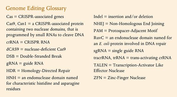 (RGENs) = RNA-guided engineered nucleases -