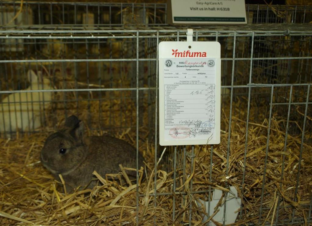 Počet 459 jedinců králíků - ČSCH 2. místo v pořadí v obeslání králíkářské expozice.