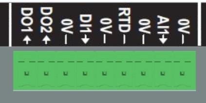 1.7.2. Vstupy/výstupy Regulátor D350 je vybaven jedním digitálním vstupem, jedním analogovým vstupem, jedním teplotním vstupem (PT100 nebo CTP) a dvěma digitálními výstupy.