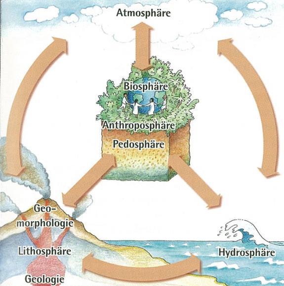 Atmosféra Biosféra Humánní sféra Pedosféra