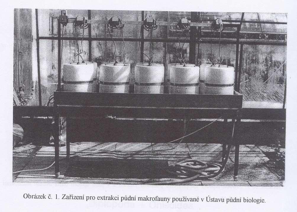 Tepelná