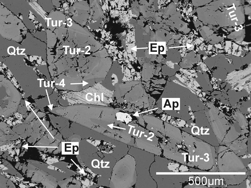 18 Bull. mineral.-petrolog. Odd. Nár. Muz. (Praha) 22, 1, 2014. ISSN 1211-0329 (print); 1804-6495 (online) (B) turmalinity s asociací turmalín - epidot - křemen, s granátem, muskovitem a chloritem.