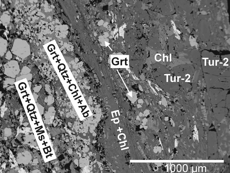 1) a lištovitým chloritem I (Mg-chamosit) převládají nepravidelná izometrická zrna turmalínu (Tur 1) velikosti přes 1 mm s méně výraznou nepravidelnou zonálností.
