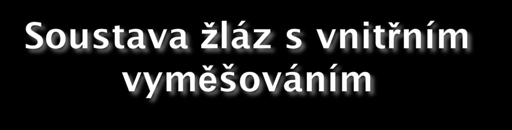 funkce: podílejí se na řízení organismu endokrinní žlázy (s vnitřním vyměšováním) vyměšují