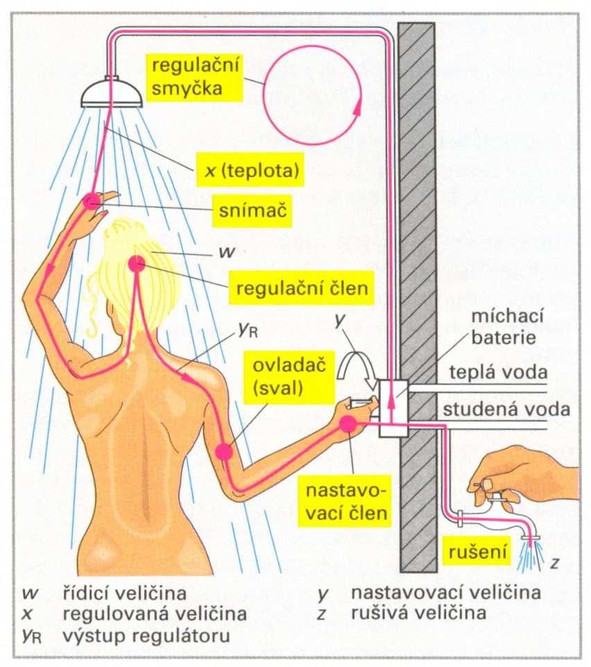 Základy regulace Regulace je proces, který udržuje nějakou fyzikální veličinu na požadované hodnotě, resp. v požadovaných mezích, tj. stabilizuje tuto veličinu.