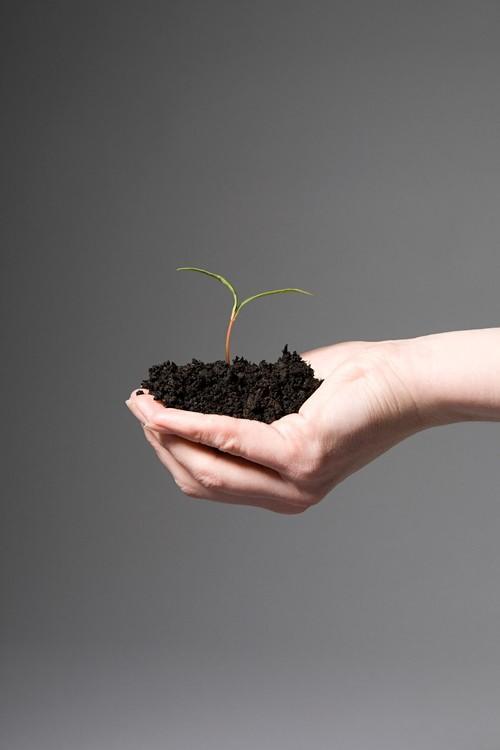 Model GROW G - goal/s cíl/e R - reality