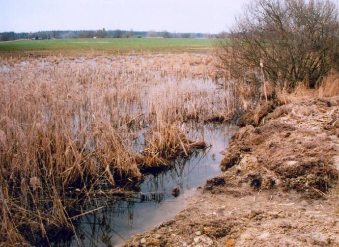 Zadržení