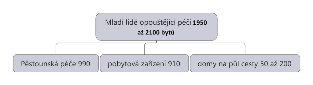 m Průmě r 1105 960 2066 Tab. č. 4 Věková struktura uživatelů domů na půli cesty k 31. 12.