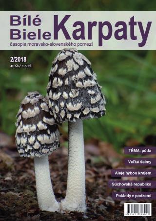 Novinkou byly barevné přílohy, které byly jednak součástí každého z čísel, a také byly vydány jako samostatné celobarevné brožury o velikosti A4.