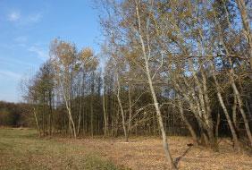 Správa CHKO Bílé Karpaty a RP Správa CHKO Beskydy. Další spolupracující přidružení příjemci jsou ZO ČSOP Salamandr, VIS Bílé Karpaty, o.p.s., infinity - progress, z.s., Bratislavské regionálne ochranárske združenie (BROZ).