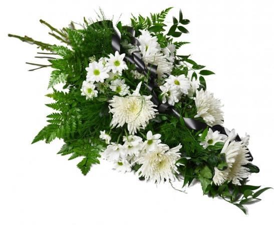 Naši jubilanti V říjnu oslavili narozeniny: Burdíková Olga ******************************************************** Muzikoterapie Opět se