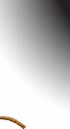 kuřecích prsou s anglickou