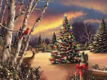 Krásné, klidné a pohodové prožití vánočních svátků, mnoho osobních i pracovních
