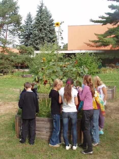 Pojďme společně připravit zahradu W-školy a školky po zimě! Školní zahrada je budována prioritně jako přírodní učebna s možností celodenního využití.