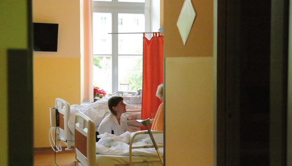 Činnost PRO Gaudia v roce 2017 V roce 2017 jsme navázali na naši 13letou historii a pokračovali v naší činnosti v oblasti psychoterapeutické a podpůrné péče pro vážně nemocné, jejich rodiny a