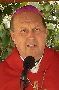 SLOVO OTCE BISKUPA PAVLA ČESKÉ MLÁDEŽI Milí mladí přátelé, blíží se čas Květné neděle, doba, kterou sv. Jan Pavel II. věnoval právě vám mladým ke společnému setkávání.