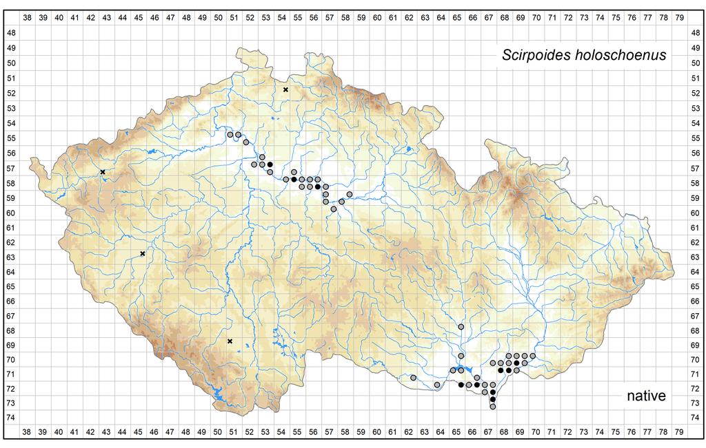 Author of the map: Zdeněk Kaplan, Jiří Danihelka Map produced on: 15-05-2017 Distribution of Scirpoides holoschoenus in the Czech Republic Database records used for producing the distribution map of