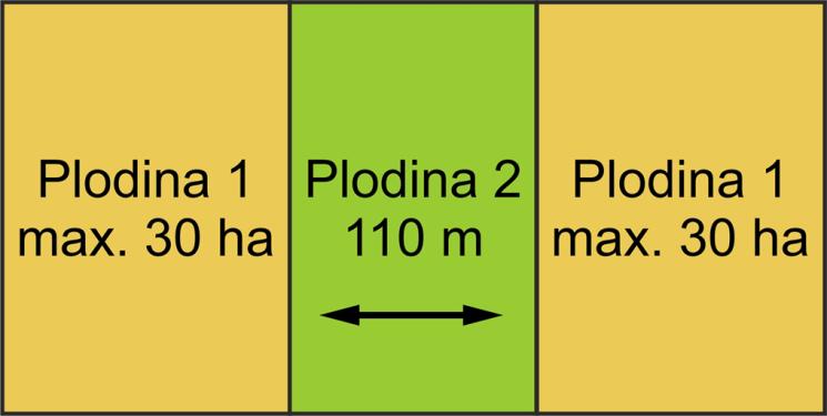 2: oddělující pás alespoň 22 metrů mezi 2 totožnými plodinami na takovém pásu musí být plodina vhodná pro EFA ochranný pás