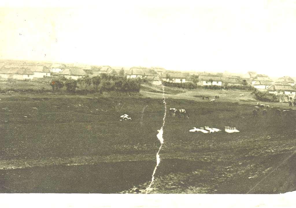 Pohlednice