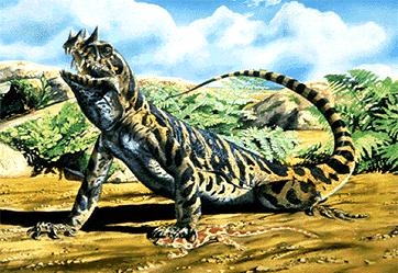 podepřené trnovými výběžky obratlů (Dimetrodon); v permu 70% amniot, ale extinkce již v permu, jednalo se asi o parafyletickou skupinu + Edaphosauridae (velcí herbivoři) a Shenacodontidae (velcí