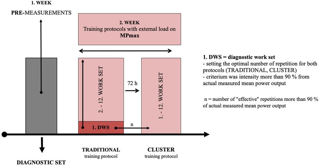 Fig 1. Example construction of the study Subjects Ten university-aged males (24.30 ± 2.33 yr, 183.20 ± 6.71 cm, 81.91 ± 10.
