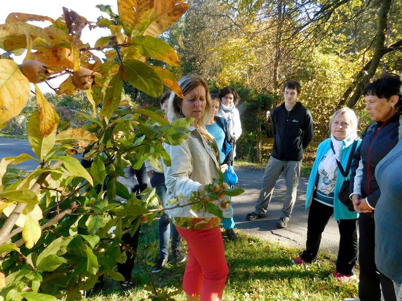 Účastníci obdivovali krásy zamrzlých vodopádů a okolní přírody a seznámili se s novými pracovními listy Tajemství žulových skal.