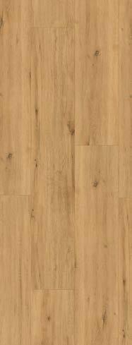 Elegantní struktura dřeva Zkosené hrany V4 Podlahová lišta 14,5 / 50: 30060629 V4 Položená plocha