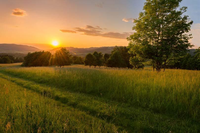ŽIVOTNÍ PROSTŘEDÍ Nezapmínáme na envirnmentální aspekty kvality živta.
