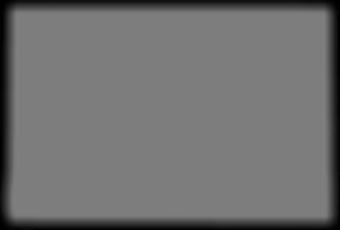 LOADMASTER 100 M GRAVEX