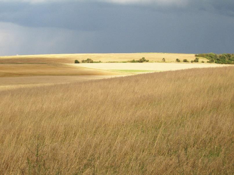 , 2015, Holocene možná se lidé usidlovali přednostně na zbytcích stepí