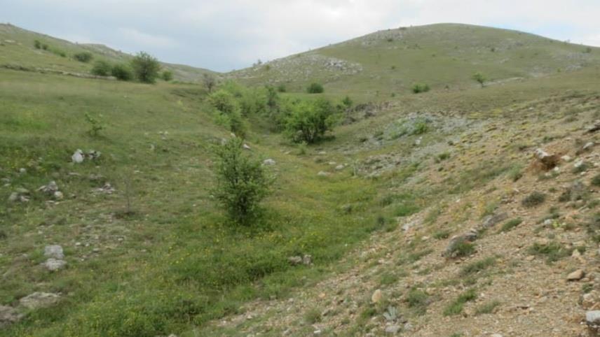 Turkey + Armenia Rozšíření: vzácný a