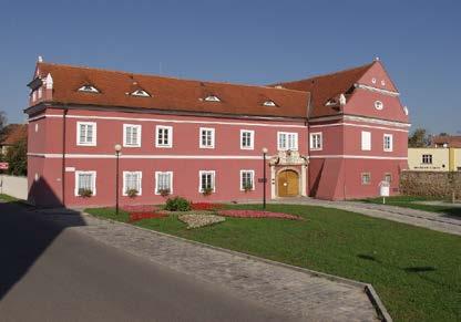 e) Cílevědomá profilace vědecko-výzkumné činnosti instituce intenzivní činnost a naplňování cílů Centra péče a tradiční lidovou kulturu Zlínského kraje, Archeologického centra Velké Moravy středního