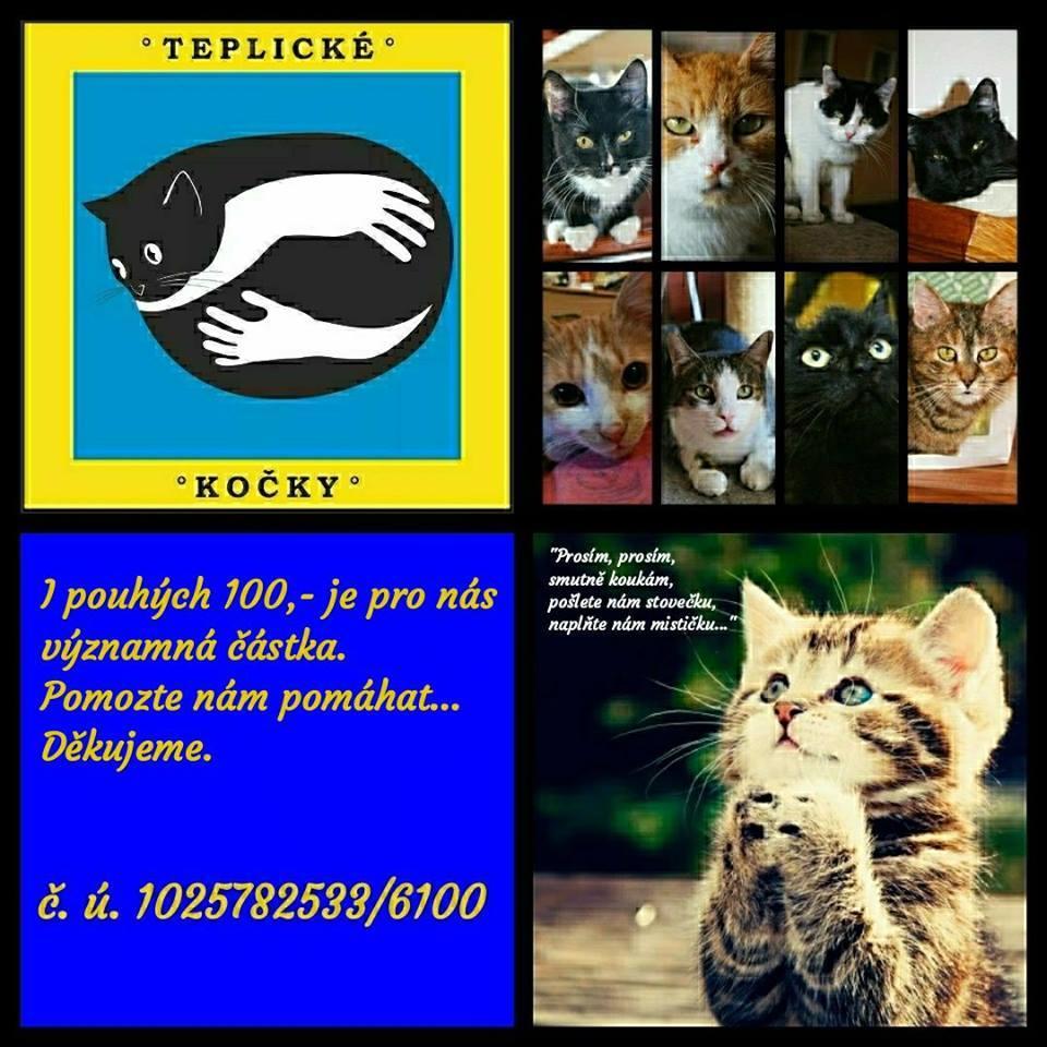 Za Teplické kočky, z.s.