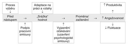 (interpersonálním a skupinovým) vztahům a jejich struktuře uvnitř firmy. V prvním případě hovoříme o pracovní adaptaci, ve druhém o adaptaci sociální.