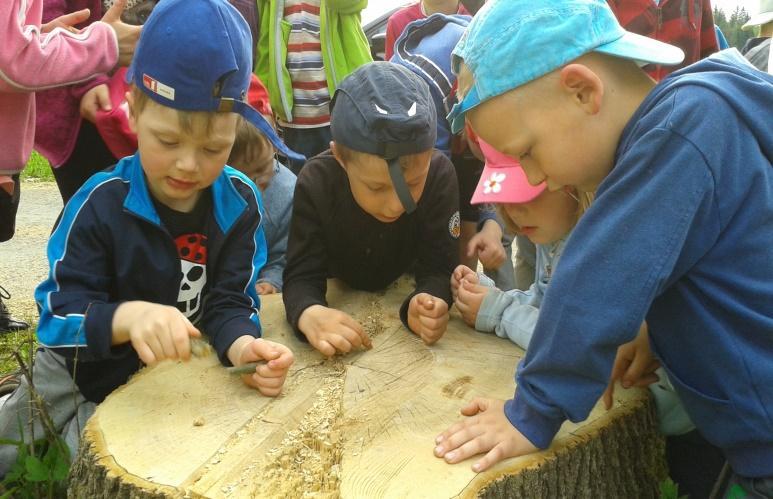 Ve školním roce 2015 2016 jsme se zaměřili na vzdělávání pedagogů v oblasti logopedický asistent a asistent pro děti se