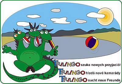 rozvoje a odměňování, spolupráce s rodiči formou přímého vstupu do interaktivního vzdělávání dětí Stravování a zdravý životní styl interaktivní spolupráce s rodiči a veřejností, konzultace se