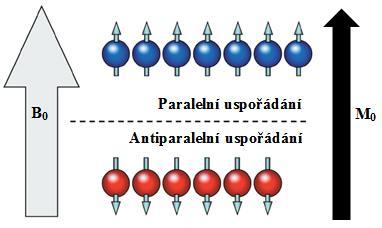Pokud jsou ale jádra umístěna do vnějšího magnetického pole B 0, dojde k uspořádání jejich dipólů podle orientace magnetického pole, a to ve směru (paralelní uspořádání) nebo proti směru
