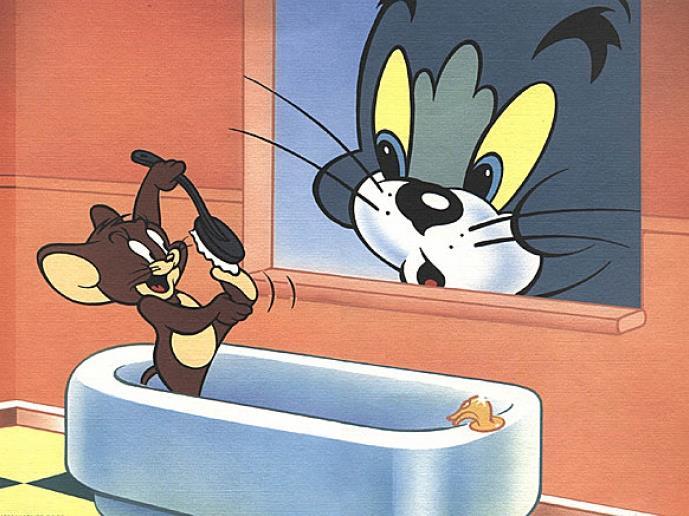 Dalším rozdílem mezi těmito dvěma dvojicemi je pojmenování. Na rozdíl od vlka a zajíce, kocour s myšákem mají jména, Tom a Jerry. Obrázek č.