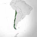 Beňadiku podal žádost na misie, která byla přijata, a on odjel do Chile, kam dorazil na konci roku 1934.