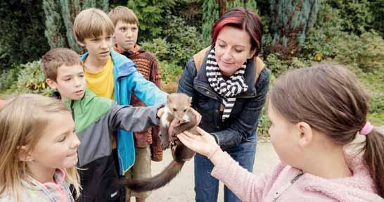 Dozvíte se, jak se do záchranné stanice dostala liška Eliška, odkud do Vlašimi přišly kočky divoké, jak se daří kuně Máše, co trápí káni rousnou Bertu nebo krahujce Vlastu.