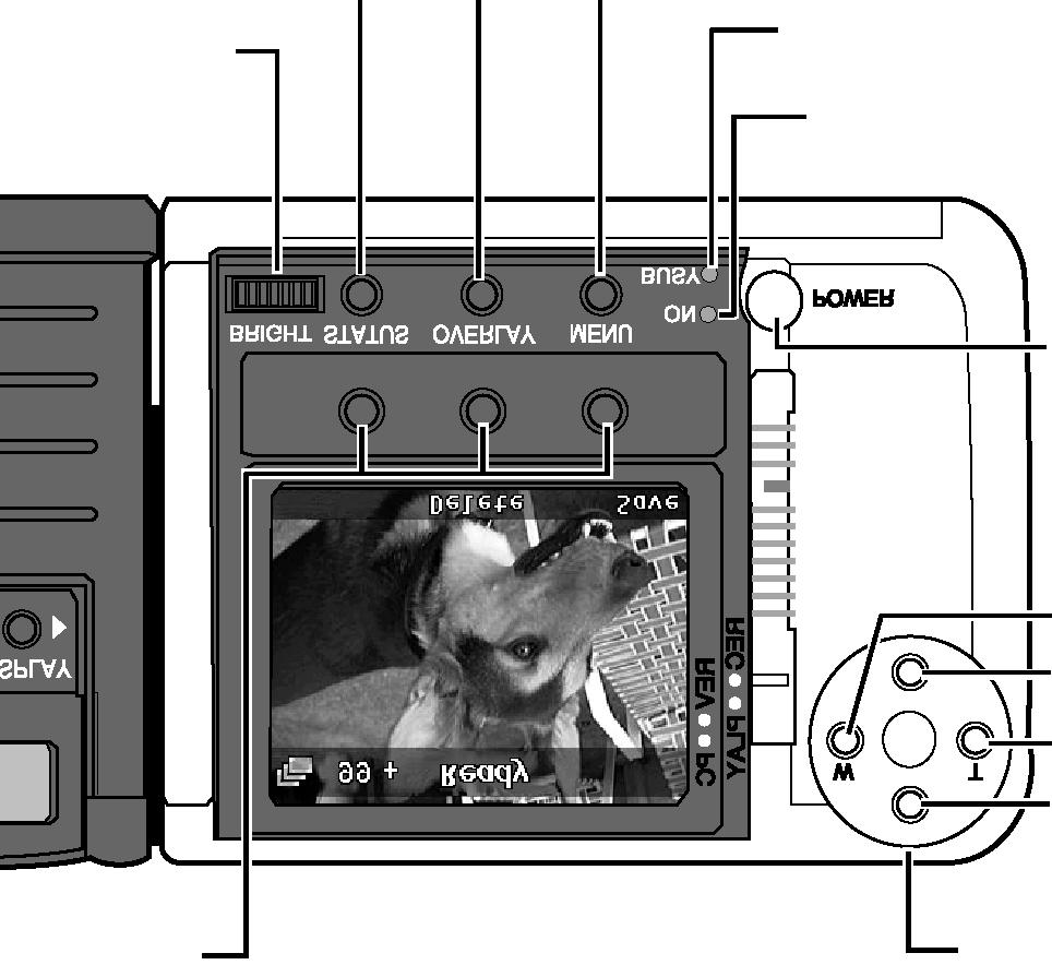 Názvy hlavních částí Tělo fotoaparátu zadní strana Programová tlačítka Křížový přepínač Indikátor zaostření (zelený) Hledáček Elektronický hledáček Tlačítko spouště závěrky Horní tlačítko Pravé