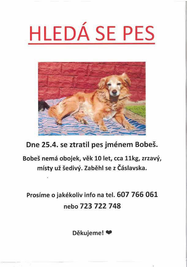 Mysleli jsme i na naše nejmenší a připravíme pro ně závod na dětských odrážedlech v délce 100 m. Dále mohou děti závodit na dětských kolech na trase 500 m.